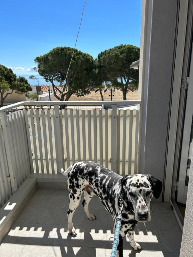 Hotel Villa Franca Lignano Sabbiadoro Eksteriør billede